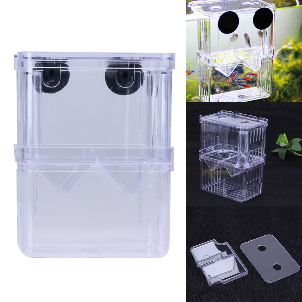 Transparent Acrylic Fish Breeding Isolation Box Aquarium Hatchery