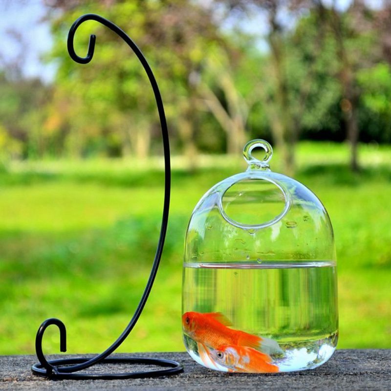 Desktop Hanging Glass Fish Tank Bowl - Pet Fish Plants