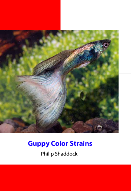 the-importance-of-a-guppy-cross-breeding-chart-pet-fish-plants