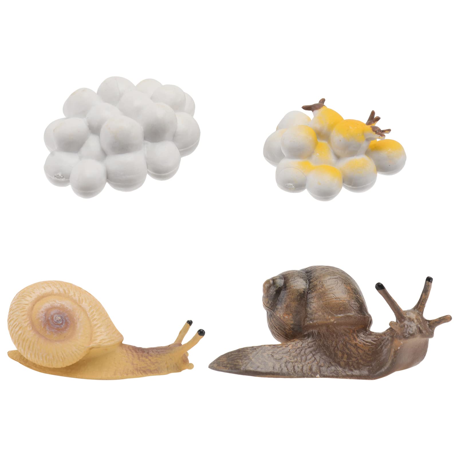 Snail and Eggs Miniature Set for Terrariums and Crafts