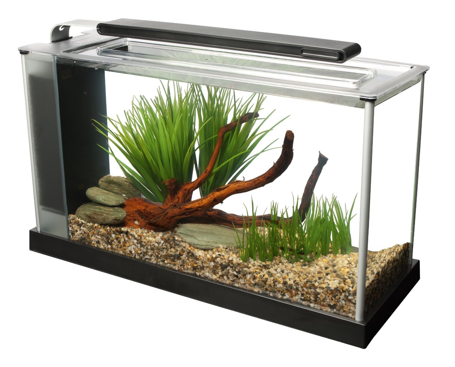 Modern Glass Aquarium with LED Light and Natural Decor