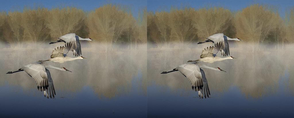 Cranes in Stereo