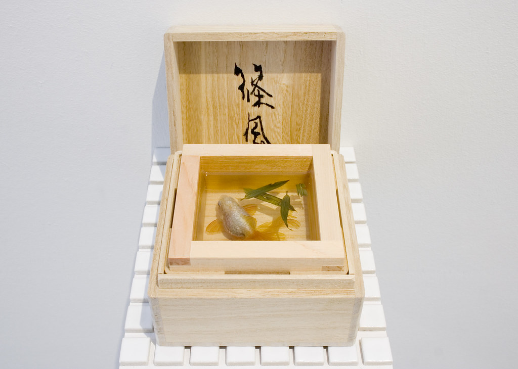 Goldfish Sake: Shinokaze, Riusuke Fukahori - Goldfish Salvation