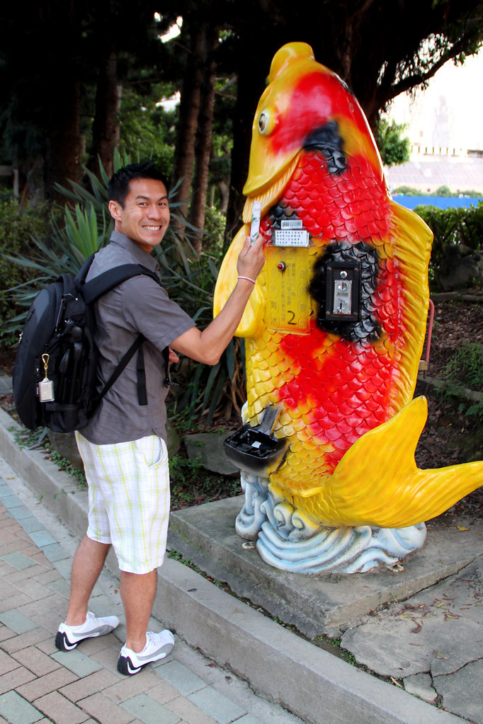 Goldfish Food Machine