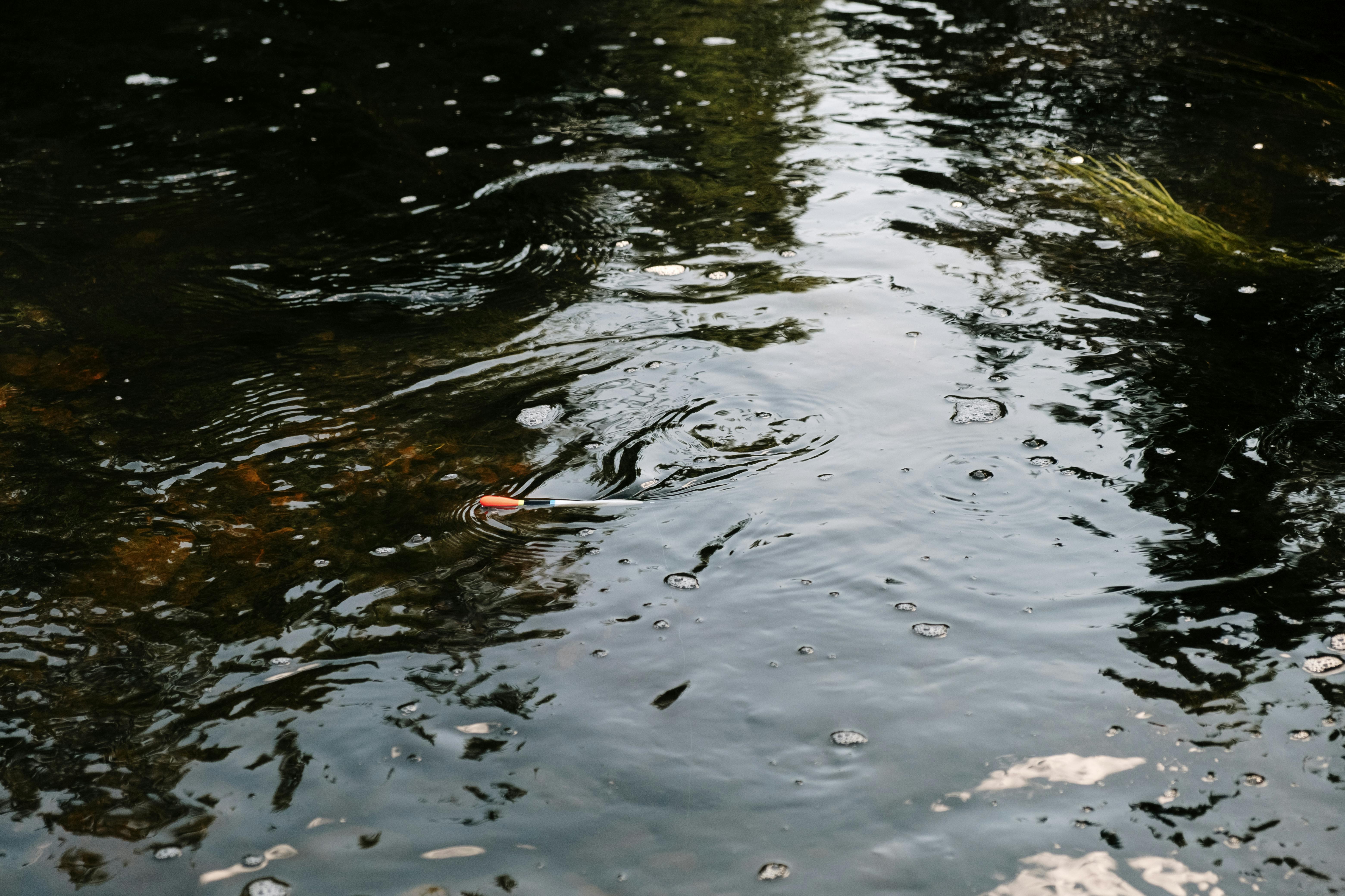 Tranquil image of a fishing float on a calm water surface with aquatic plants.