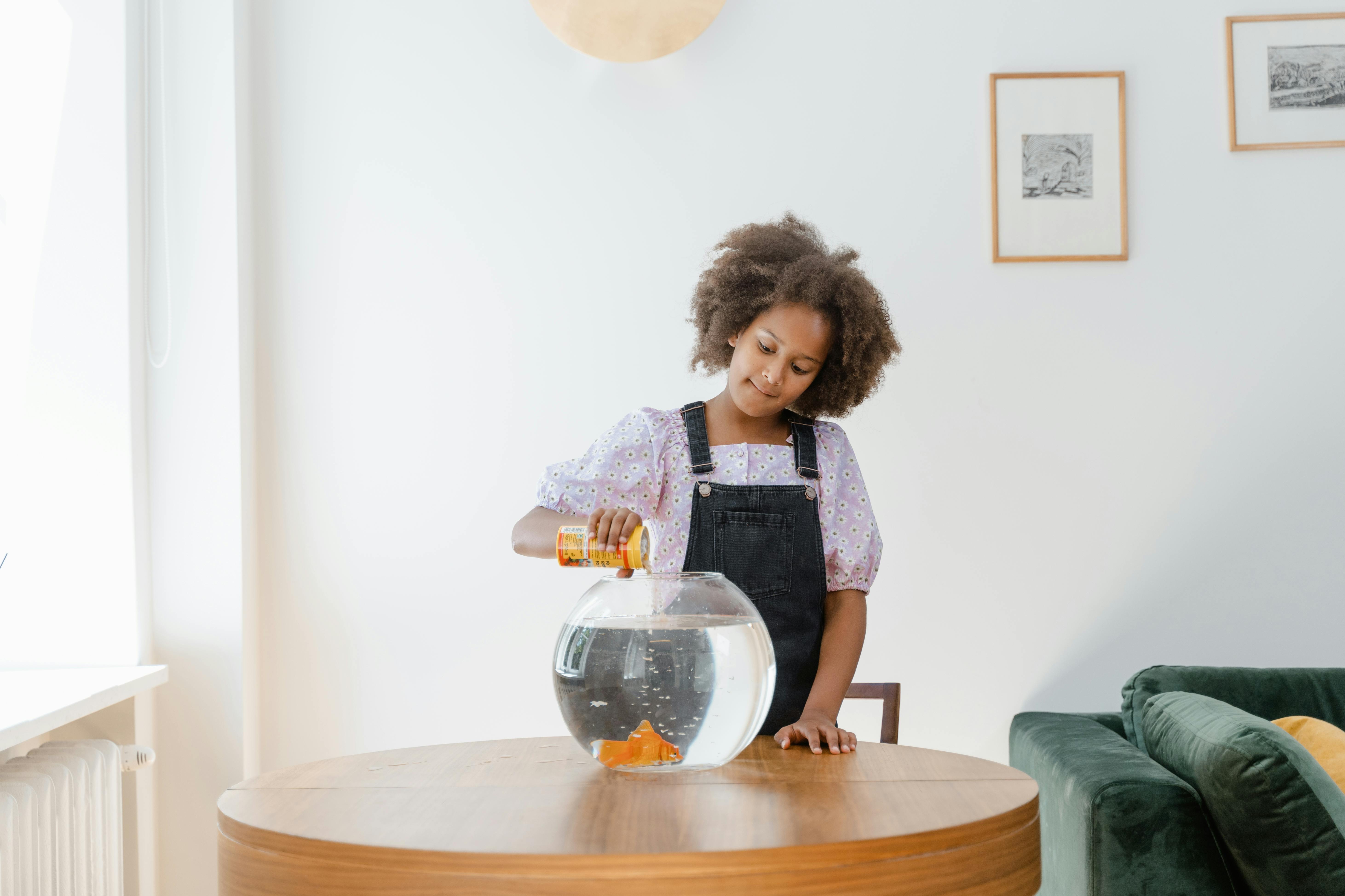 A young girl with afro hair feeds her goldfish in a home setting, showcasing a serene and caring moment.