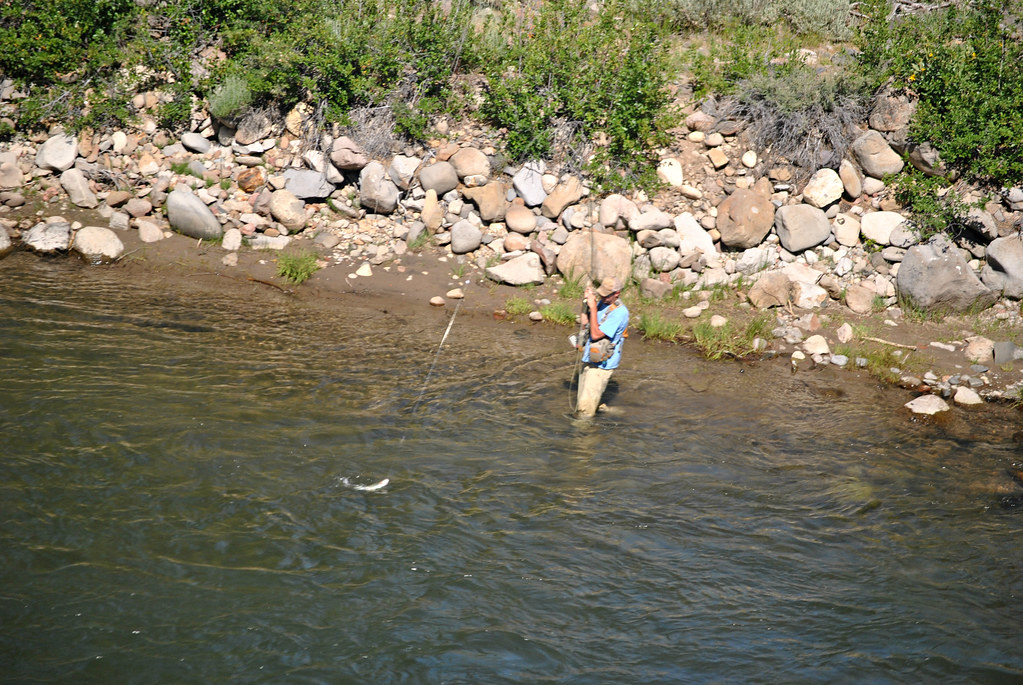 Man catches fish, from moving train.