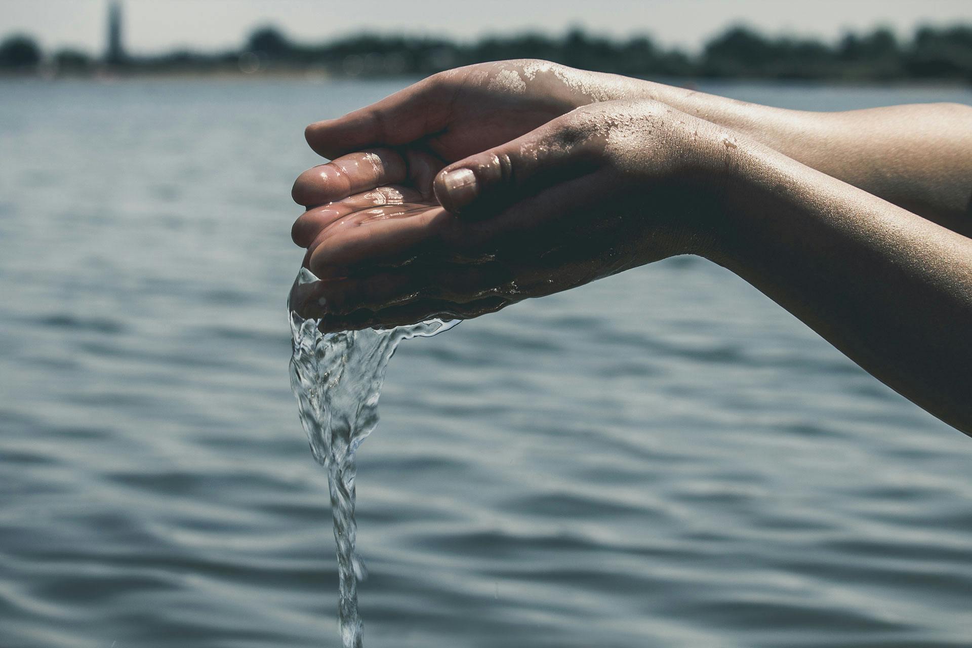 A pair of hands cupping water from a serene lake, symbolizing purity and conservation.