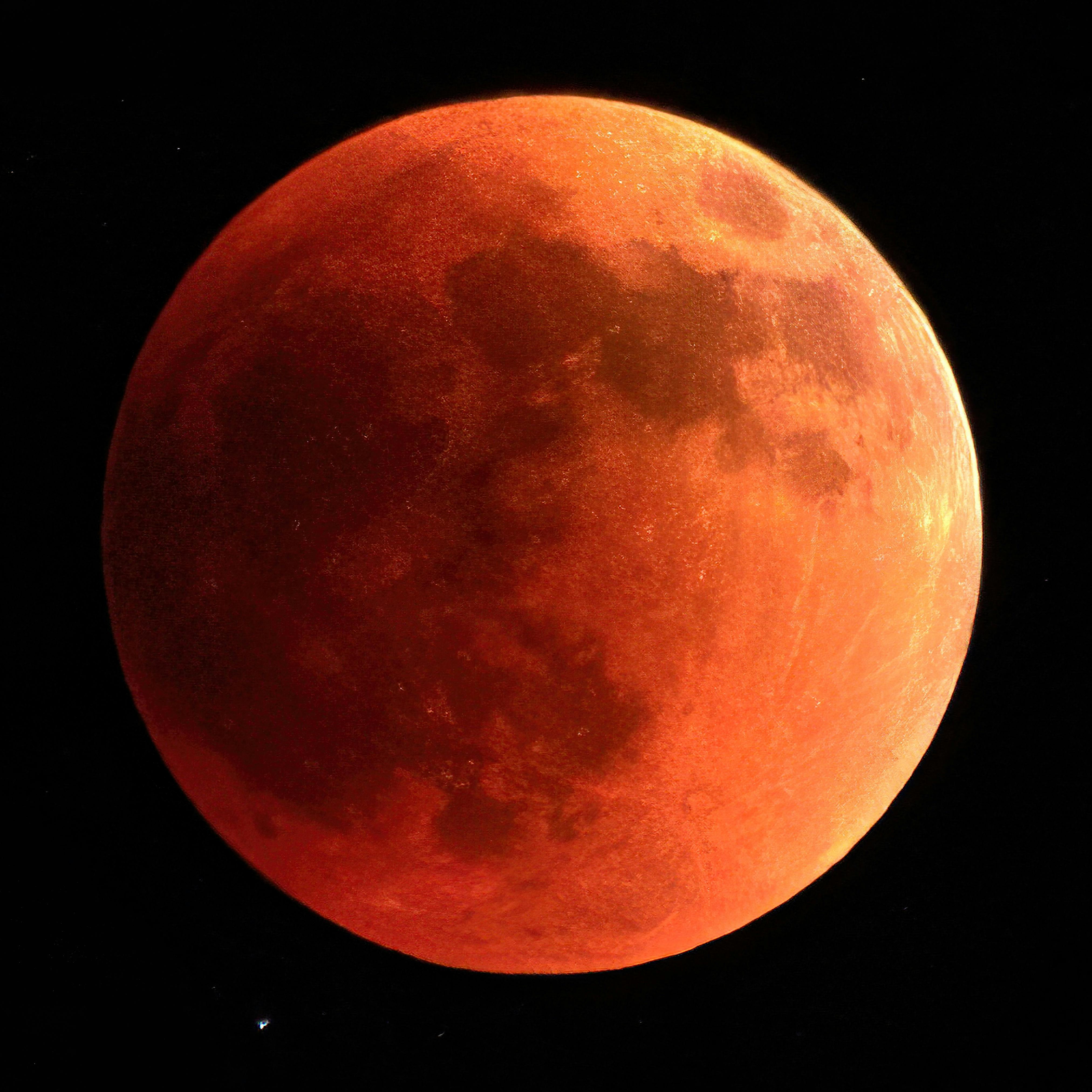 A detailed close-up of the blood moon during a total lunar eclipse against a black sky.
