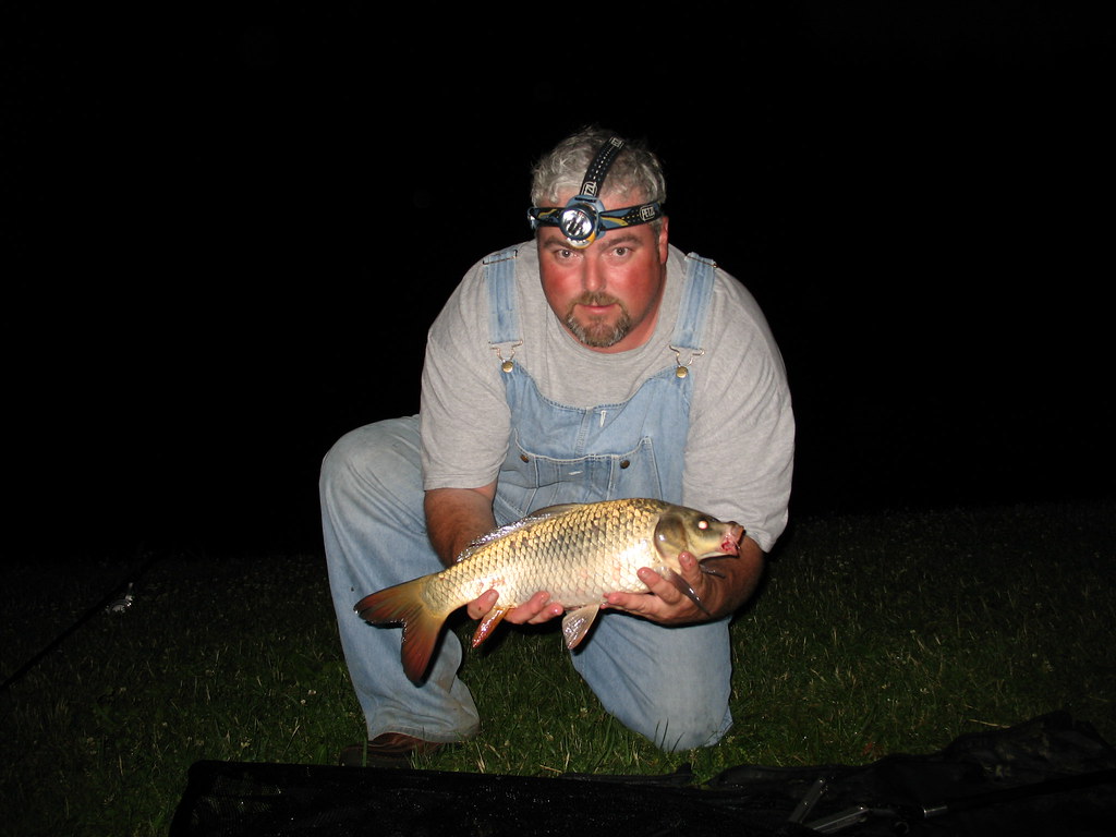 Little Ghost Carp
