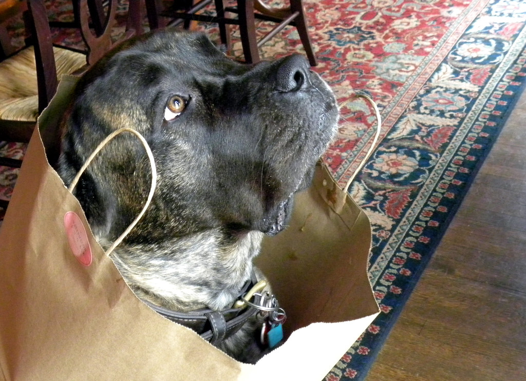 In the Bag I