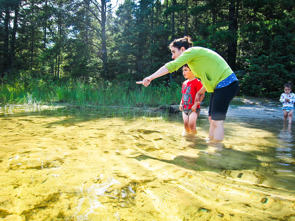 Looking for minnows