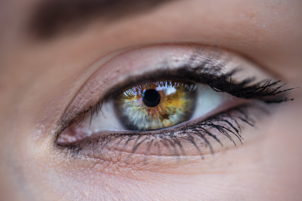 Minnow eye