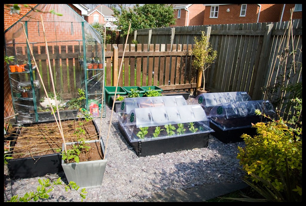 Garden/Allotment