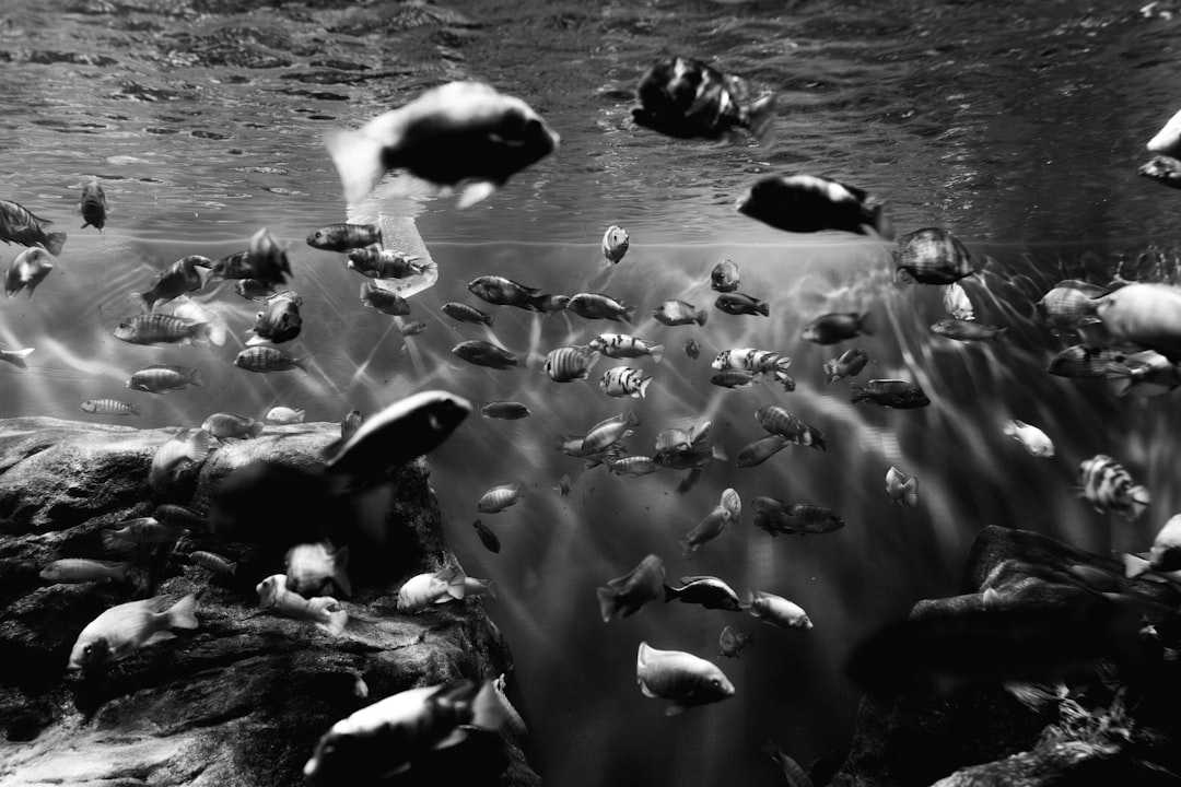 goldfish staying at bottom of tank