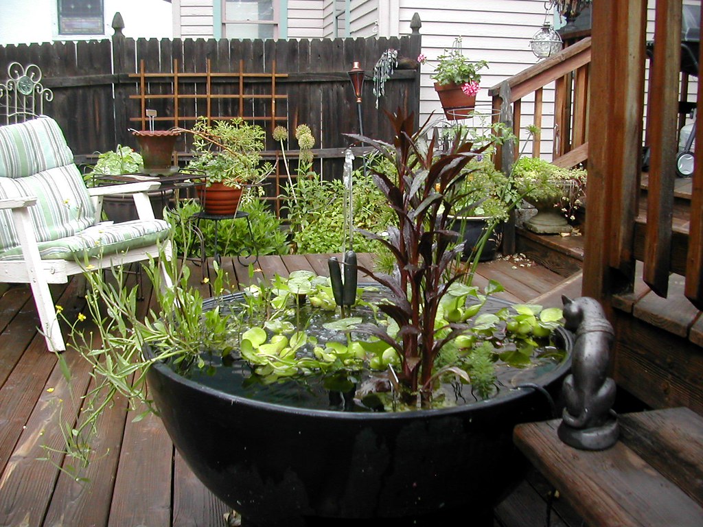 water garden